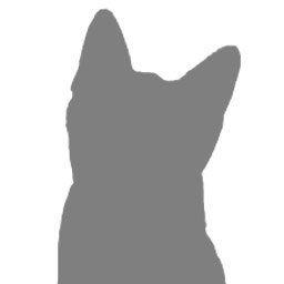 Captain Coon's Kailash