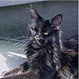 Langstteich's Talisman