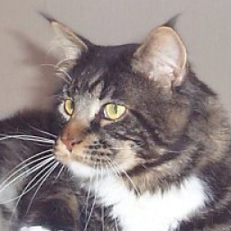 Never Mind's Radio Ga-Ga