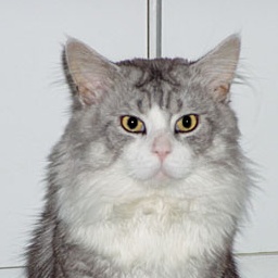 Diabolo Duch Ekstazy