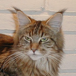 Karisma Exiting Xenia