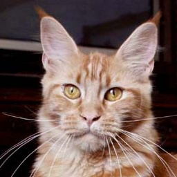 Justcoon's Al Hambra