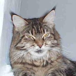 Love Hulen's True Love in the X-file