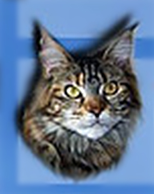 Bubble Cat Cabaret - maine-coon