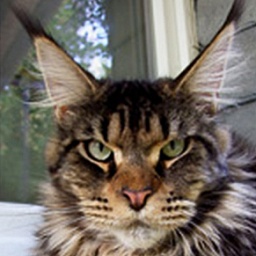 Langstteich's ES'Presso