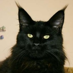 Thunderball's BlackJack