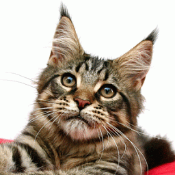 Santa Fe Tala-Minowis